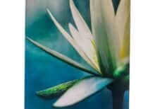 Self Care Book   Author Katherine Foster