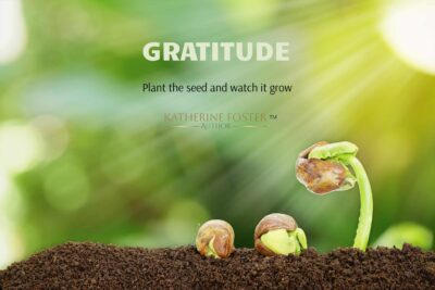 Head Down, Burned Out? Here’s Your Reminder to Breathe – 16 June 2025: Author Katherine Foster