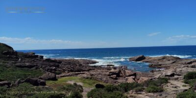 Short Hike In Nature – Author Katherine Foster (R) Copyright 2025