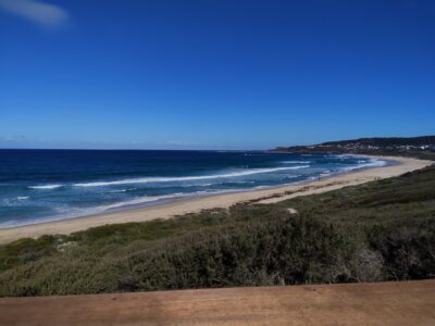 Hams Beach Lake Macquarie NSW Australia Copyright 2026 Author Katherine Foster – Blu Ripples